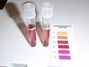 First pH Test