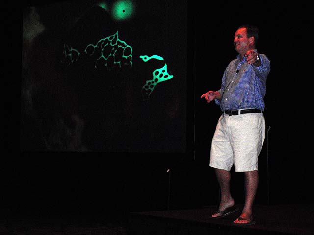 Ret Talbot presents the Lightning Maroon Clownfish