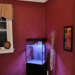 DSC_0163-Stitch_cleanedup4_edit600