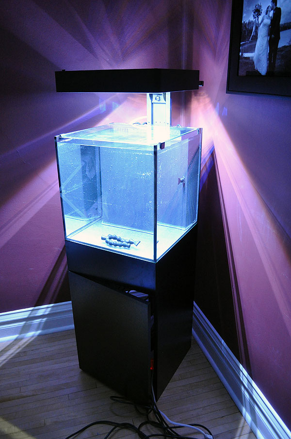DSC_0403 Ecoxotic 18" Cube 25 gallon LED Aquarium System being water tested.