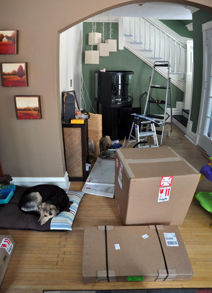 DSC_0440-Stitch_crop_sizedown Boxes from Ecoxotic add to the chaos of another tank project!