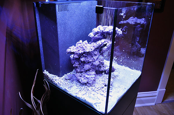 DSC_0167 A closer look at the substrate design.