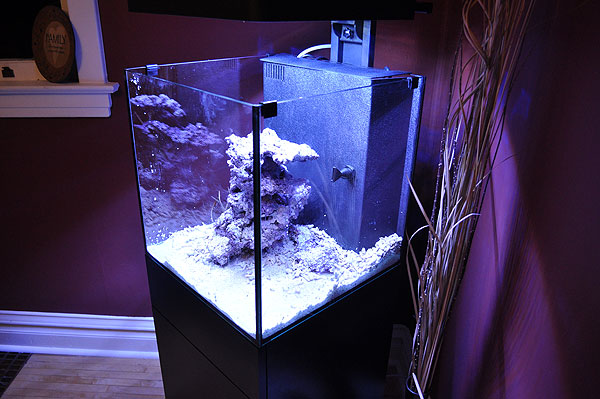 DSC_0171 Caribsea Arag-Alive and Two Little Fishies Reborn Reactor Media are added as substrate.
