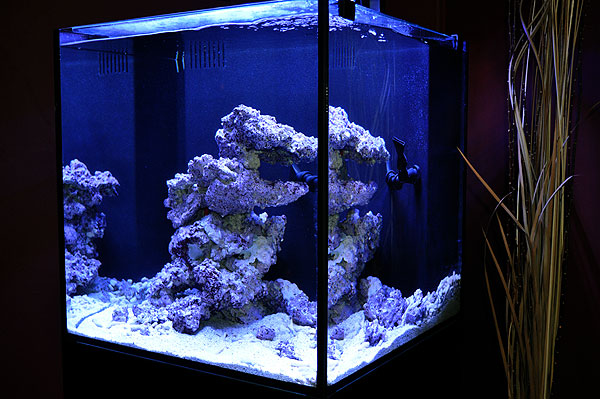 DSC_0279 Fully aquascaped and ready to go...
