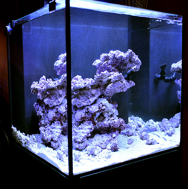 DSC_0288 Fully aquascaped and ready to go...