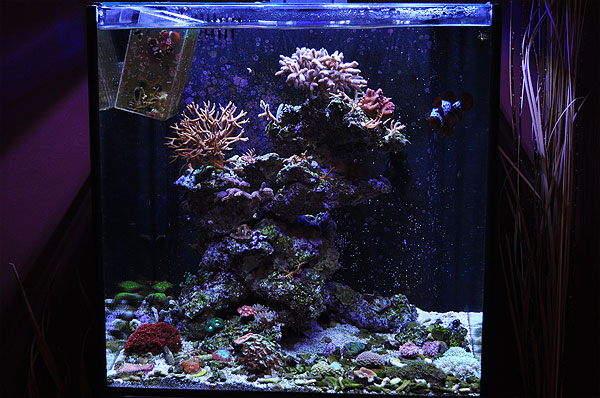 DSC_1283_closebeforeafter