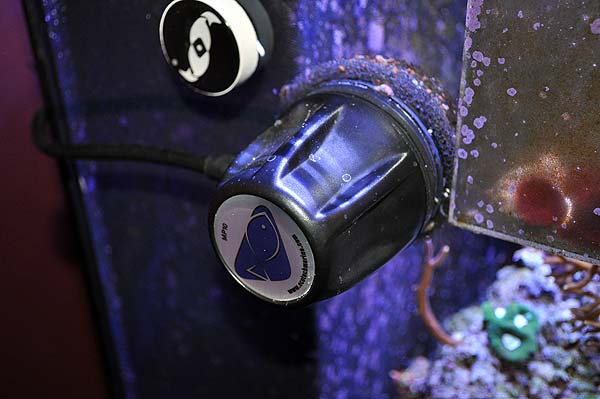DSC_1389_Vortech
