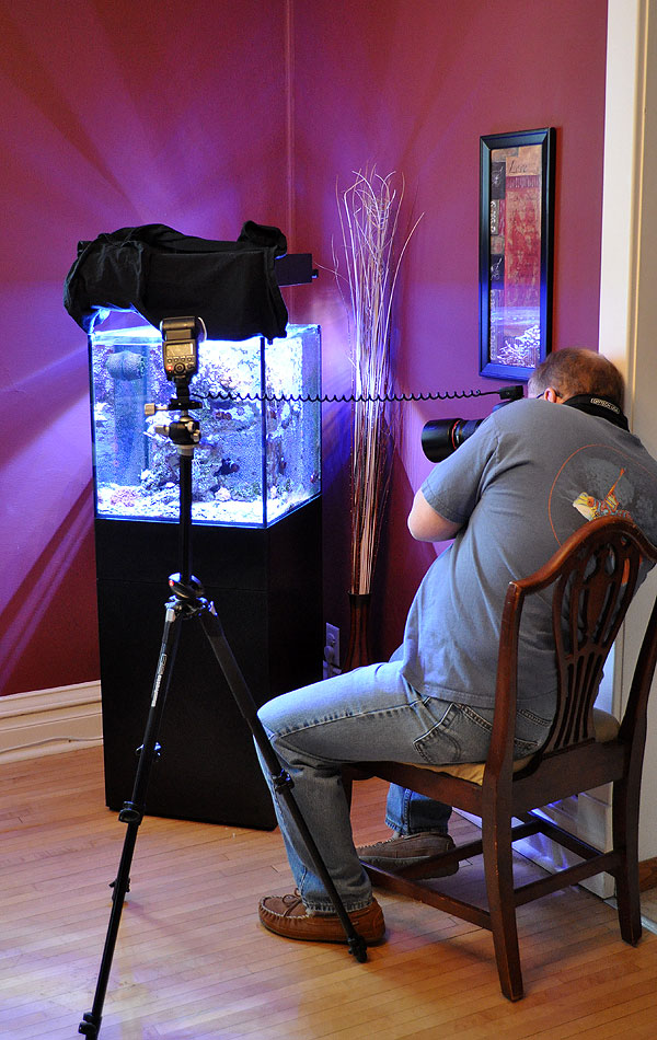 DSC_0031_retouch Aquarium photography legend Gary L. Parr shoots the Lightning Maroon Clownfish
