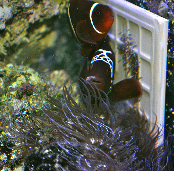 DSC_0674_600w