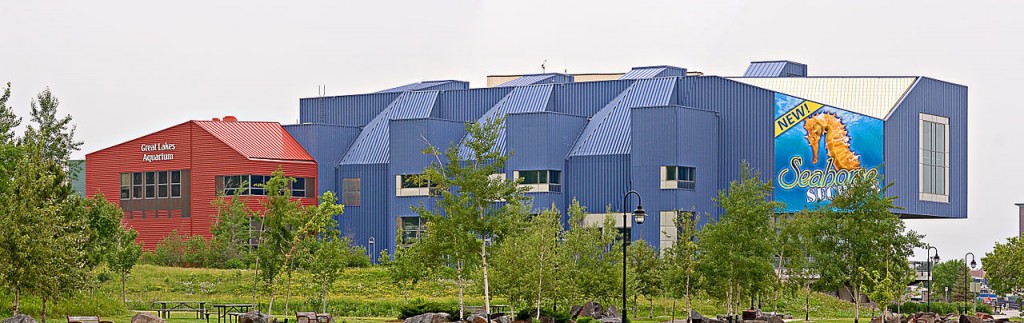 1280px-Great_Lakes_Aquarium Another view of the Great Lakes Aquarium, now home of a Lightning Maroon Clownfish - Image by Randen Pederson under Create Commons License (thanks Randen!)